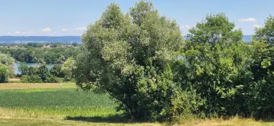 Paysage naturel près de la maison de vacances