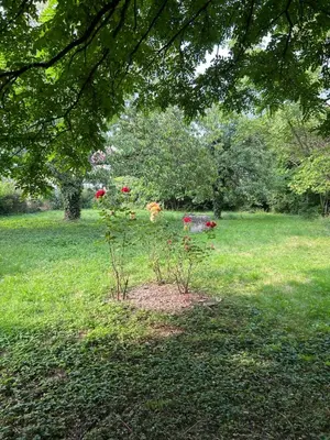 Jardin de l'établissement Chez Jules