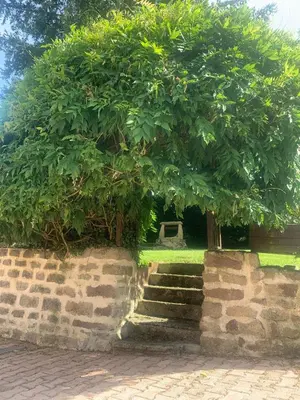 Jardin de l'établissement La PISCINE