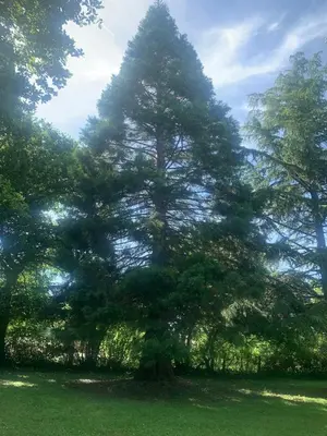 Paysage naturel près de la maison de vacances