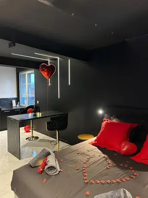 Coin salon dans l'établissement Luxueux appartement avec jacuzzi dans le centre de Macon ,snacking et cadeau