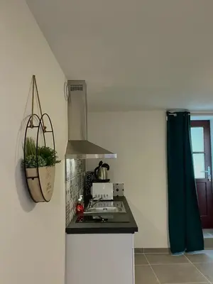 Cuisine ou kitchenette dans l'établissement Au cocon des promenades