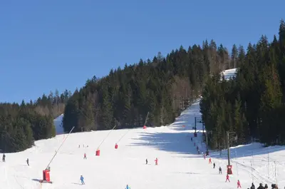 L'établissement Auberge du tilleul chambres de campagne dans la région lacs et cascades en hiver