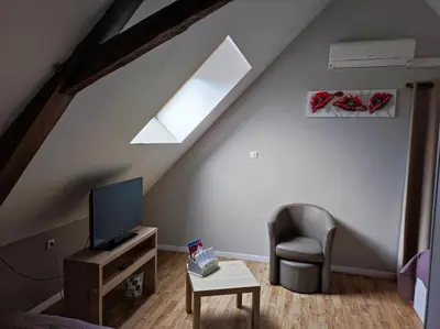 Télévision ou salle de divertissement dans l'établissement Le Vallon de Paray