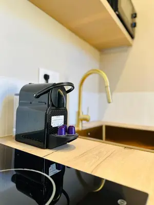 Cuisine ou kitchenette dans l'établissement Le Petit Danton