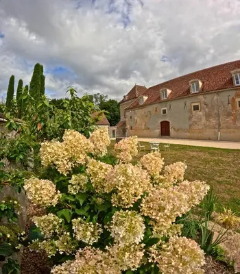 Jardin de l'établissement Gîte Louis Pasteur - cuisine ouverte
