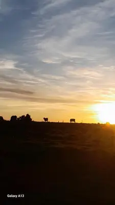 Lever ou coucher de soleil vu de le camping ou à proximité