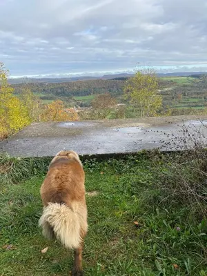 Paysage naturel près de la maison de vacances