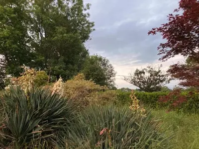 Paysage naturel près de la maison de vacances