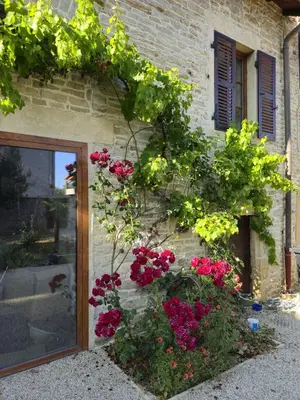 Jardin de l'établissement Les Vignes du Mâconnais