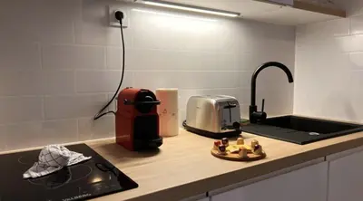 Cuisine ou kitchenette dans l'établissement L Évasion Cosy Central Cosy