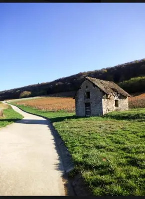 Paysage naturel près de le B&B/chambre d'hôtes