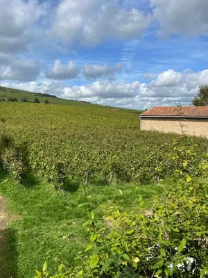 Plan de l'établissement Domaine Jubare