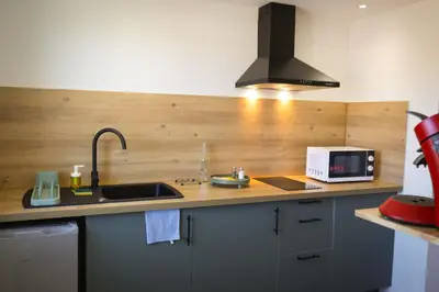 Cuisine ou kitchenette dans l'établissement Appart'HomeStudio Mâcon - PARKING