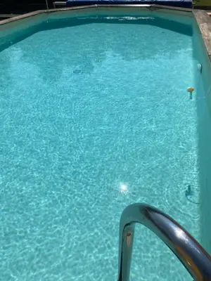 Piscine de l'établissement Maison Coucou gite 2,4 pers ou située à proximité