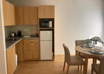 Cuisine ou kitchenette dans l'établissement Zenao Appart'hôtels Mâcon