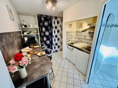 Cuisine ou kitchenette dans l'établissement Le grand studio - Proche Gare TGV et RCEA