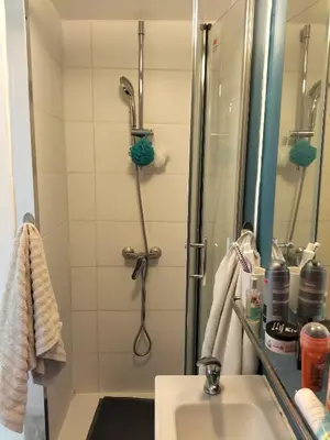 Salle de bains dans l'établissement Le Majestik