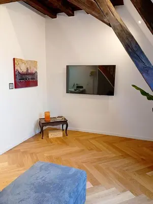 Télévision ou salle de divertissement dans l'établissement Lemullier de Bressey - Hôtel particulier au coeur de Dijon