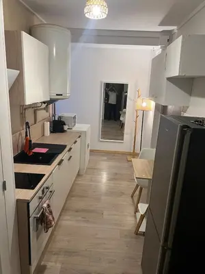 Cuisine ou kitchenette dans l'établissement Séjour authentique dans un appart cosy à Dijon