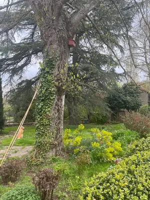 Jardin de l'établissement B&B Au Pain Quotidien