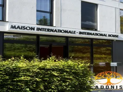 Certificat, récompense, panneau ou autre document affiché dans l'établissement Adonis Dijon single apartment