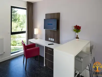 Cuisine ou kitchenette dans l'établissement Adonis Dijon single apartment