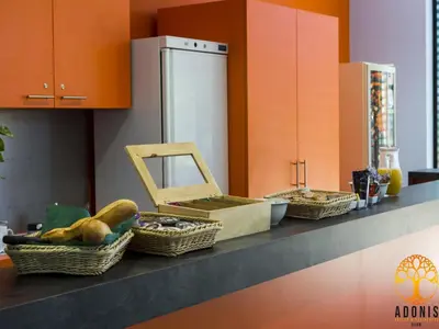 Cuisine ou kitchenette dans l'établissement Adonis Dijon Double apartment