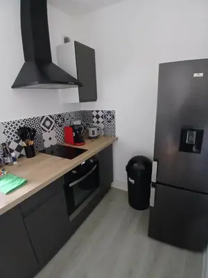 Cuisine ou kitchenette dans l'établissement Charmant appartement avec décoration moderne