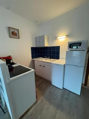 Cuisine ou kitchenette dans l'établissement Studio Le Verdun et La République