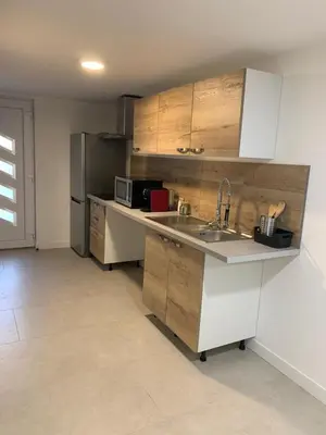 Cuisine ou kitchenette dans l'établissement Grand studio climatisée