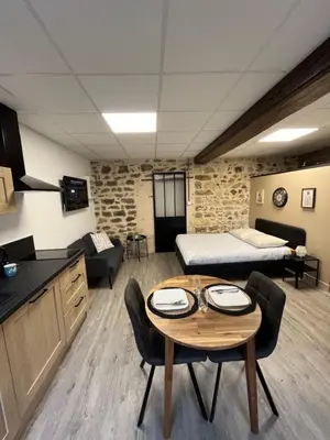 Cuisine ou kitchenette dans l'établissement Les Pichies, Studio Dadoum, Centre ville