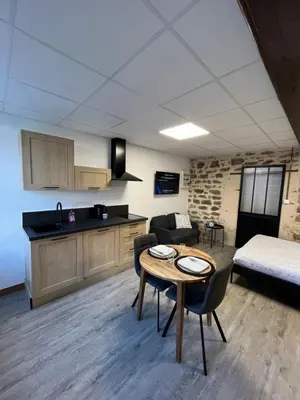 Cuisine ou kitchenette dans l'établissement Les Pichies, Studio Dadoum, Centre ville