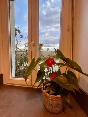 Jardin de l'établissement La Maisonnette de Chevannes
