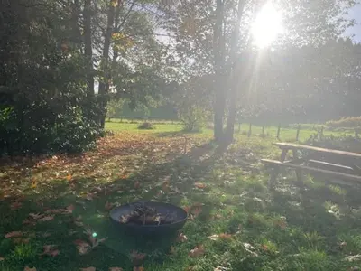 Jardin de l'établissement Cabane Au bois du Haut Folin