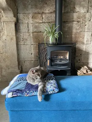 Animal ou animaux domestique(s) séjournant avec des clients dans l'établissement Cense des Possibles - chambre Forêt 2 personnes