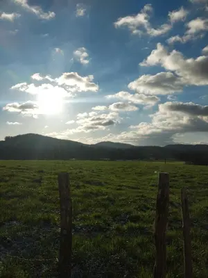 Paysage naturel près de la ferme