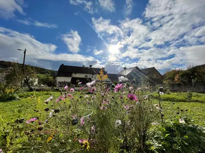 Paysage naturel près de l'appartement