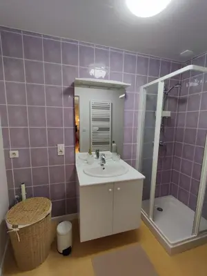 Salle de bains dans l'établissement appartement 35m2