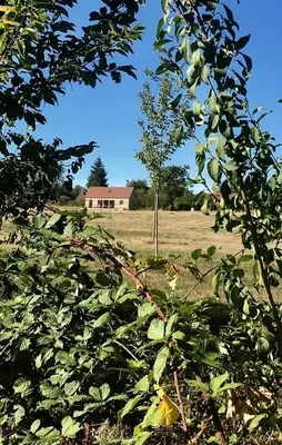 Jardin de l'établissement Maison bois proche de l' A6