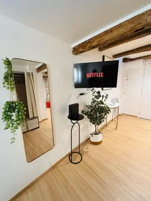Télévision ou salle de divertissement dans l'établissement Le Contemporain - Macon Hyper Centre - Proche Gare