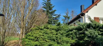 Jardin de l'établissement chambre dans villa