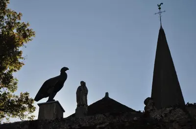 Animaux dans la maison d'hôtes ou à proximité