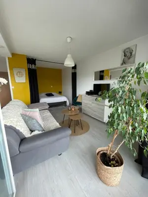 Coin salon dans l'établissement Studio cocoon avec vue sur le Beaujolais