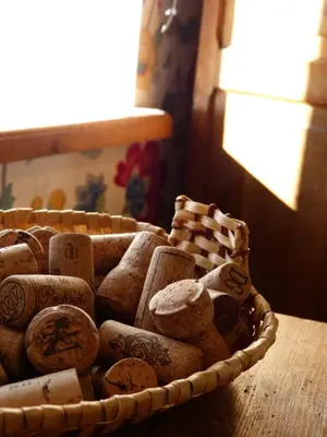Plan de l'établissement Le Gîte des Fontaines au cœur de la Bourgogne