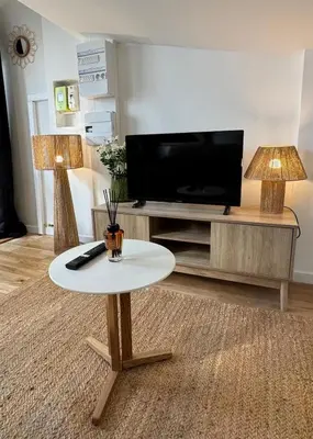 Télévision ou salle de divertissement dans l'établissement L'Épure - Studio neuf & lumineux dans Mâcon centre