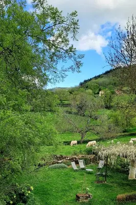 Paysage naturel près de la maison d'hôtes
