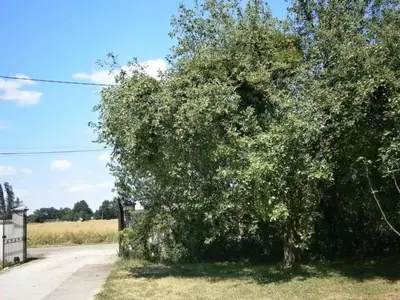 Paysage naturel près de la maison de vacances