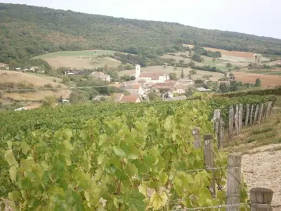 Paysage naturel près de la maison de vacances
