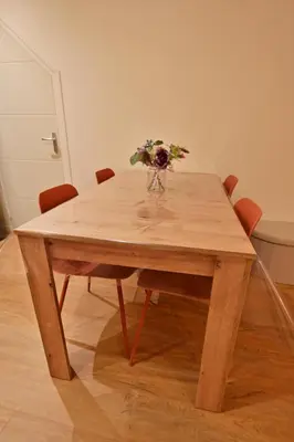 Plan de l'établissement Rez de chaussée appartement à Tournus - RIMA